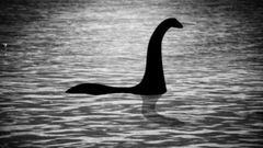Locura con el monstruo del lago Ness en Escocia: “Es una oportunidad real” 