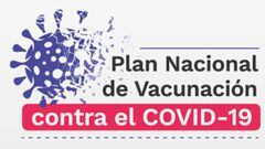 El MinSalud inform&oacute; cu&aacute;ntas dosis de la vacuna contra el coronavirus llegar&aacute;n en el mes de febrero. El Plan Nacional de Vacunaci&oacute;n inicia el 20 de febrero