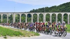 El pelot&oacute;n compite en la cuarta etapa de la Vuelta a Suiza desde Berna a Villars-sur-Ollon.