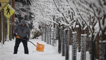Snow storm alerts in place across New England