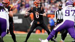 With equal records and playoff aspirations still intact, the Bengals and Vikings will go to war on Saturday evening with the hope securing a postseason trip.