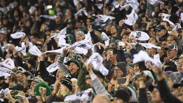 PHILADELPHIA, PA - JANUARY 21: Philadelphia Eagles fans wave towels during the NFC Championship game between the Philadelphia Eagles and the Minnesota Vikings on January 21, 2017 at Lincoln Financial Field in Philadelphia, PA. Eagles won 38-7.(Photo by An