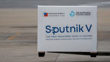 FILE PHOTO: A shipment of doses of the Sputnik V (Gam-COVID-Vac) vaccine against the coronavirus disease (COVID-19) is seen after arriving at Ezeiza International Airport, in Buenos Aires, Argentina January 28, 2021. REUTERS/Agustin Marcarian/File Photo