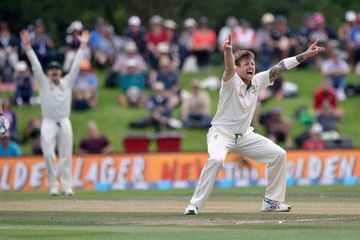 James Pattinson of Australia appeals for a LBW call on Kane Williamson of New Zealand with team mate captain Steve Smith.