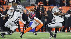 The Cincinnati Bengals held off a final drive from the Las Vegas Raiders in Cincinnati to win their first play-off game in 31 years, 19-26.. 
