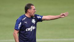 Vanderlei Luxemburgo fue despedido esta pasada noche por el Palmeiras. 