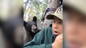 El increíble encuentro entre un oso y un hombre en un árbol