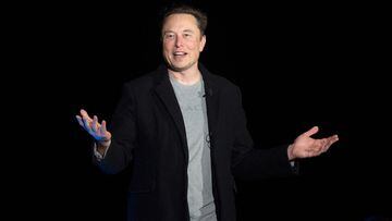 Elon Musk&#039;s new partner: global actress and 23 years younger