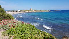 La Isla de Tabarca es un lugar mediterráneo, diferente, especial y muy acogedor. Pasa de 55 habitantes en invierno a más de 4.000 turistas al día que la visitan cada verano. Esta isla tiene un encanto único que hará que quieras volver más de una vez. La I