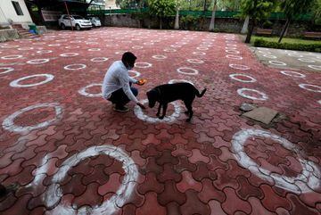 A man feeds a dog in a social distancing area in Bhopal, India, 6 June 2020.