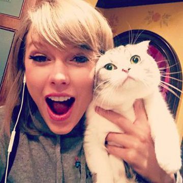 La cantante Taylor Swift con su gato Meredith.