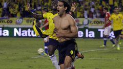 El 11 de octubre del 2013, Radamel Falcao García anotó un gol histórico ante Chile, que le permitió a Colombia clasificar a Brasil 2014, hasta ahora el último gol oficia con Colombia.