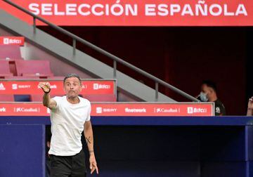 Luis Enrique da inidicaciones a los jugadores de la Selecci&oacute;n durante el partido amisotoso ante el Portugal