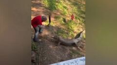 Hombre pelea con cocodrilo y con un sartén salva su vida