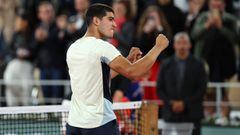 Rusia tendrá seguro una semifinalista en Roland Garros