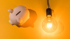 To lessen carbon emissions and help consumers cut down on their electricity bills, the government has banned the sale of common incandescent light bulbs.