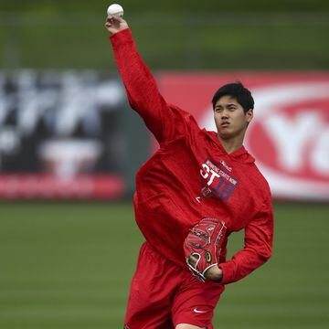 Las mejores imágenes de la llegada de pitchers y catchers al Spring Training de la MLB