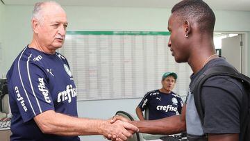 Scolari e Ivan Angulo en el Palmeiras