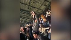 Aficionados de Seattle Mariners llevan a sus perros al estadio