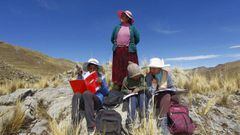 (L-R) Siblings Juan Carlos, 13, Alvaro, 10, and Roxana Cabrera, 16, are accompanied by their mother Raymunda Charca, on top of a hill where they can pick up signal on their mobile phones to receive virtual classes during the COVID-19 novel coronavirus pandemic, near their house in the remote highland community of Conaviri, district of Manazo, in the Peruvian Andes close to Lake Titicaca and the border with Bolivia, early July 24, 2020. - As schools remain closed due to the pandemic, the Cabrera children participate in the &quot;Learn at Home&quot; educational platform which was implemented by the Peruvian Ministry of Education. (Photo by Carlos MAMANI / AFP)