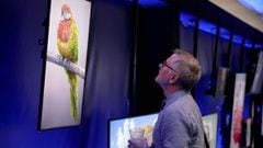 Dan Torrey looks at NFT art hanging in a gallery during the North American Bitcoin Conference held at the James L Knight Center on January 19, 2022 in Miami, Florida. 