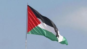 ¿Qué significa la bandera de Palestina y por qué tiene cuatro colores, tres franjas y un triángulo?