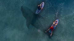 Dos surfistas esperan una ola mientras un gran tibur&oacute;n pas por debajo del agua.