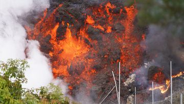 Lava from the volcanic eruption on the Spanish island of La Palma is close to reaching the sea. Breaking news and updates from the Canary Islands.