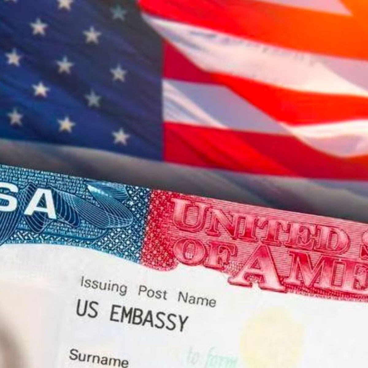 Visa USA (Imagen tomada de Pinterest)