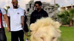 Vidal pasea leones y tigres en la casa de un multimillonario en Dubái: las redes arden