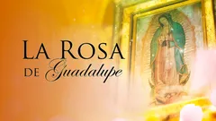 Rosa de Guadalupe 2022: Cuántos años lleva al aire, total de temporadas y episodios