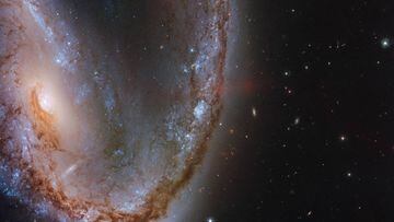 Space (---), 17/08/2020.- A handout photo made available by the European Space Agency (ESA) shows an image from the&nbsp;NASA/ESA Hubble Space Telescope&nbsp;that features&nbsp;the spectacular galaxy NGC 2442 (issued 23 August 2020). This galaxy was host 