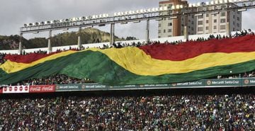 Supporters of Bolivia cheer for their team during the 2018 FIFA World Cup qualifier football match against Argentina in La Paz, on March 28