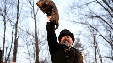 Punxsutawney Phil generally gives bad news to those who desire an early end to winter weather, predicting six more weeks of cold 78% of the time.
