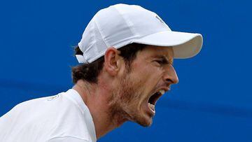 Andy Murray: Scot sees off Marin Cilic to advance to Queen's final