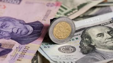 Precio del dólar, 15 de octubre: cuál es el tipo de cambio en México