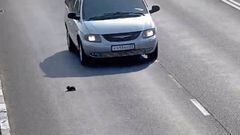 Un hombre salva la vida de un gatito que se encontraba atrapado en una autov&iacute;a en Rusia.