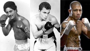 Los cinco mejores boxeadores de Puerto Rico en la historia