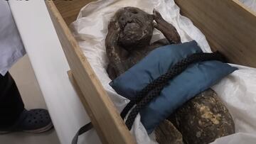 Resuelven 300 años después el misterio de la sirena momificada de Japón