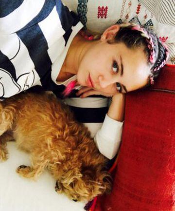 La cantante y actriz Miley Cirus, novia del mencionado Liam Hemsworth, también es una apasionada de los perros. Aquí posa junto a uno de ellos.