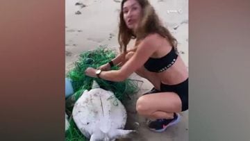 La modelo Gisele Bündchen rescata a una tortuga atrapada en la playa