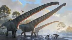 El enigma del dinosaurio con el cuello más largo jamás descubierto