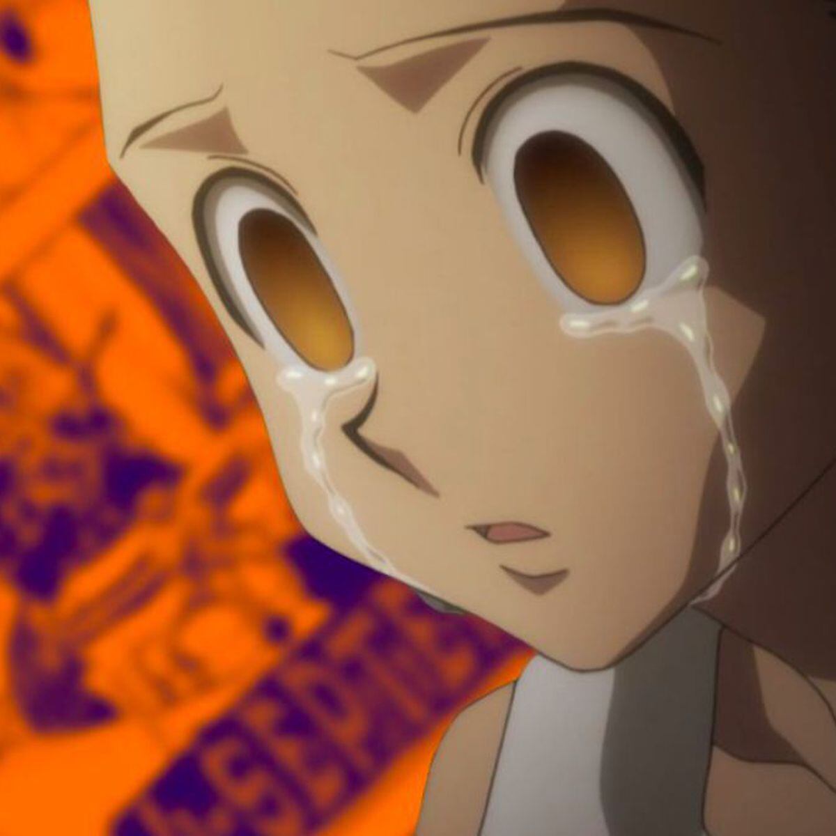 Hunter x Hunter' Appears to Be Ending Its 4 Year Hiatus - CNET