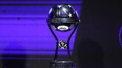 Trofeo Copa Sudamericana.