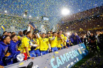 Boca se consagró como campeón del fútbol argentino tras el empate a dos frente a Independiente.
