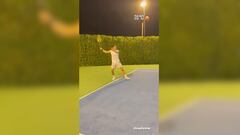 This clip of ex soccer star Gareth Bale playing tennis is going viral on social media as he shows off his talent with an incredible forehand hit.