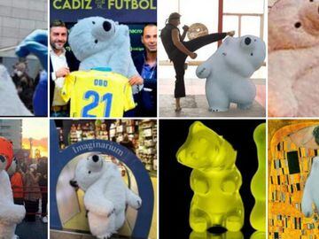 Los mejores memes del oso del cuello roto de la cabalgata de Reyes de Cádiz