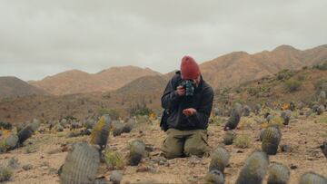 Chileno dedica su vida a mantener vivo el desierto: más de la mitad de cactus nativos están en peligro de extinción