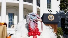The other countries that celebrate Thanksgiving