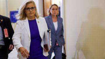 Liz Cheney looks set to lose House seat in Wyoming
